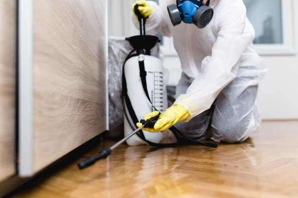 Best Cockroach Control Services  in Santa Paula, CA