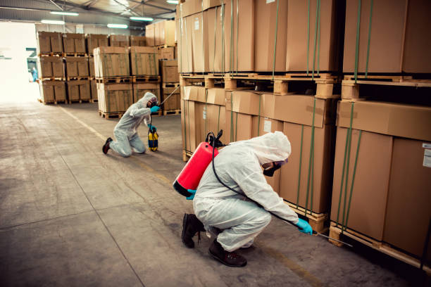 Best Affordable Pest Control Services  in Santa Paula, CA