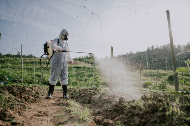 Best Mosquito Control Services  in Santa Paula, CA