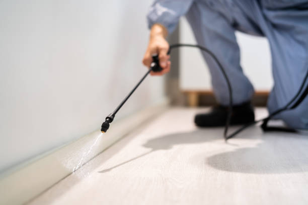 Best Pest Prevention Services  in Santa Paula, CA