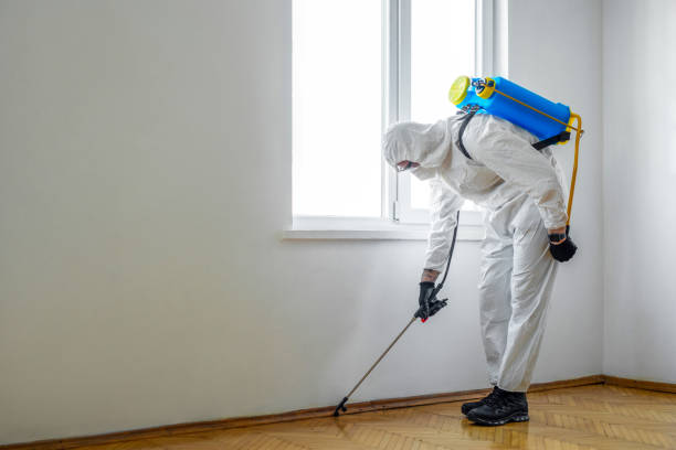 Best Commercial Pest Control Services  in Santa Paula, CA