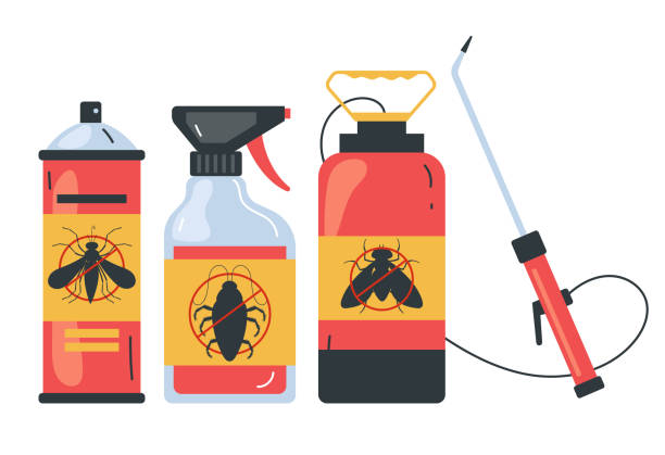 Best Affordable Pest Control Services  in Santa Paula, CA