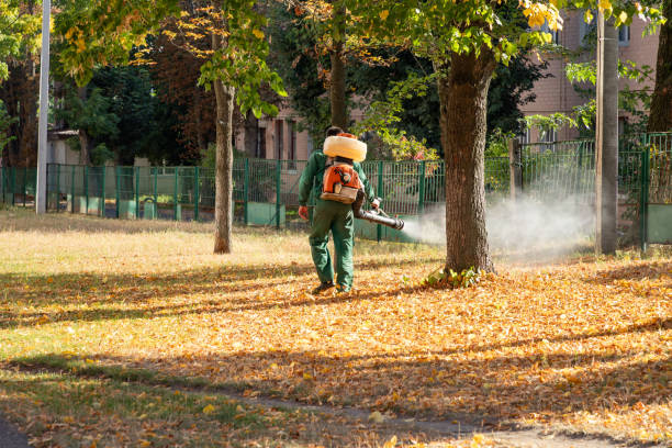 Best Bed Bug Extermination  in Santa Paula, CA